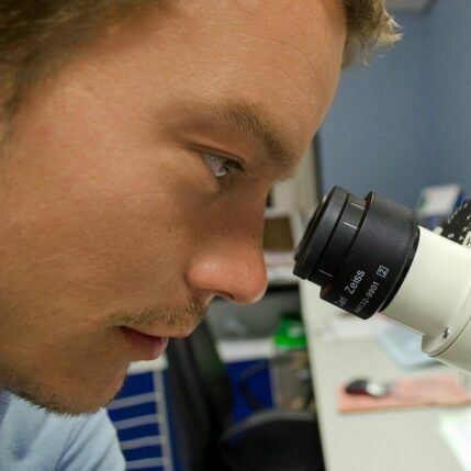 Curso TEAF investigación